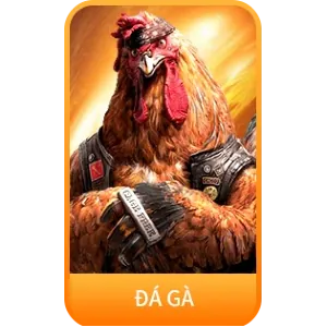 Đá gà trực tiếp